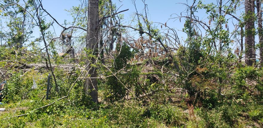 Almost 1/2 acre in town but zoned County, with water, and 200 feet of road frontage. Water is through City of Callaway. Zoned R-2; homes or manufactured homes. Zone X, which is the flood zone your looking for!!! CONVENIENT TO TYNDALL AFB, CALLAWAY ELEMENTARY SCHOOL AND WALMART SUPERCENTER.