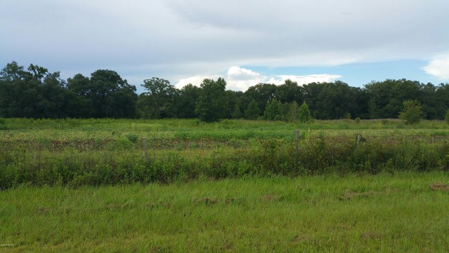 28.59 acres with approx 746 front feet on the Jacob Hwy. (Hwy 162). Property corners Jacob Hwy. and Woodrest Rd. Most of the property is cleared and currently has natural growth surrounded on the perimeter by woods. Property has some fencing. Was previously a home site so there is a ''deep'' and and septic on property. Surrounding property is mostly crop land with few homes in immediate area. Great property to build your dream home. Convenient to Hwy 231 to go to Panama City beach or north to Dothan Al