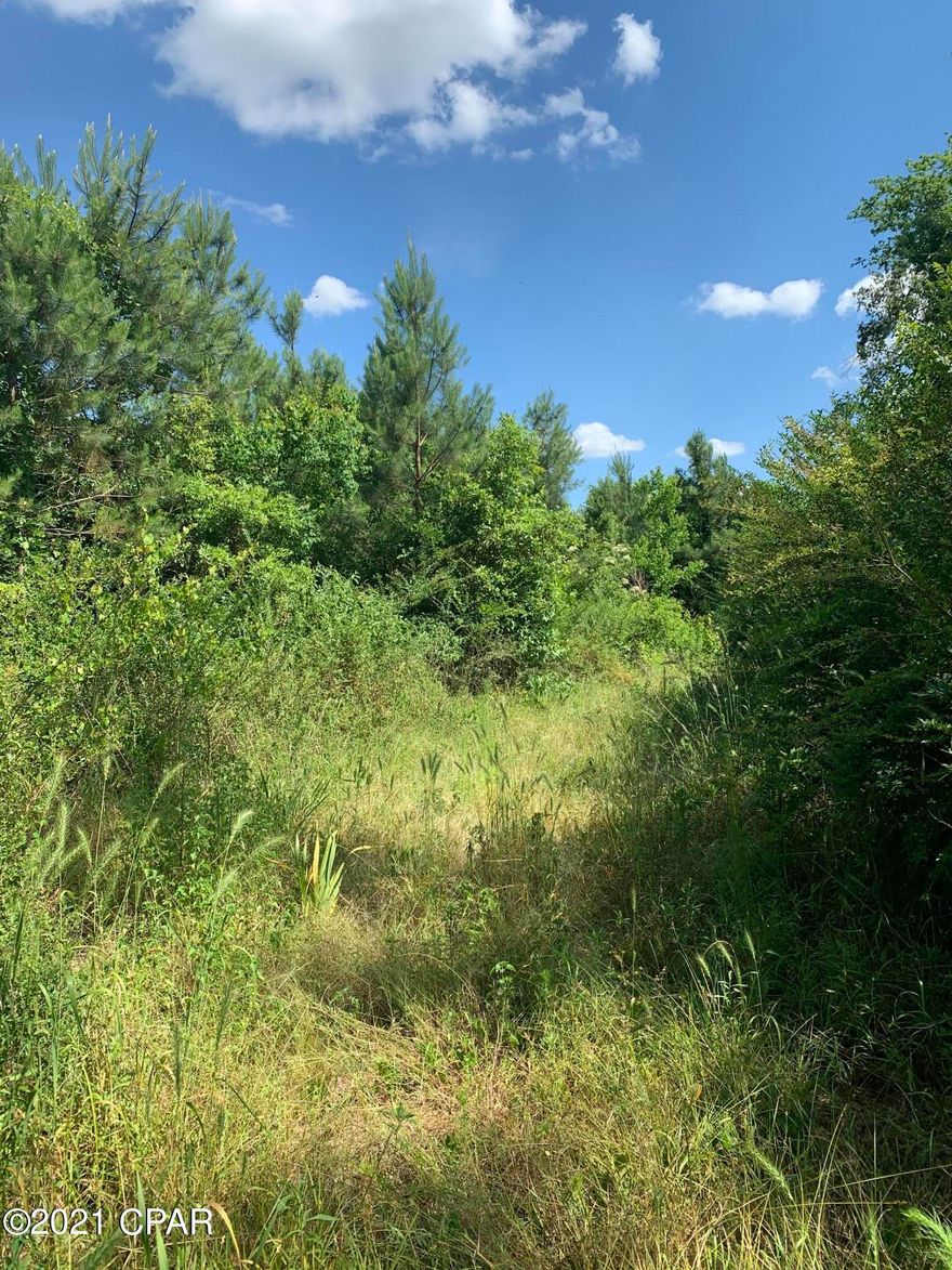 Restricted to site built homes or NEW mobile homes! Great recreational/hunting/timber tract with paved road frontage. 1 hr from Panama City.