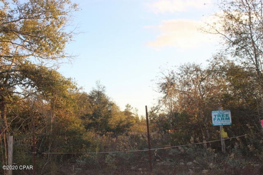 CURRENTLY UNDER CONTRACT SELLER WILL STILL SHOW AND TAKE BACKUP OFFERS.  10 Acres MOL to be surveyed out of parent parcel in the SouthEast corner south of Nortek Blvd across street from Tract Rd to the west.  Survey will determine the exact dimensions.  Investment property, hunting, recreational or use as residential. Wooded with longleaf pines. Close drive to Lakepoint Rd and Hwy 231. Minutes to public boat ramp at Compass Lake for boating, skiing and fishing. 45 minute drive MOL to Panama City to Beaches.