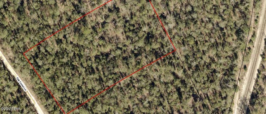 Are you ready to own property in North Florida? This is a great parcel that just came available. Over an acre and a half of pure Florida landscape.  Ready for you to make it your own.  Property has been left to it's original state. You decide which trees to keep, where the roads go, and where  your new home will sit. This property is waiting on YOU to make the decisions.  Located only 30 minutes north of Panama City FL. It is centrally located between many great places to have fun. Go 25 min East and you will be at the Marianna Caverns. Go 40 min  south and you will experience Panama City Beach and famous Pier Park Shopping. Go 30 min Southeast and you will find Tyndall Air Force Base. Also within minutes of this property is some of the best Fishing on the planet. Call today.