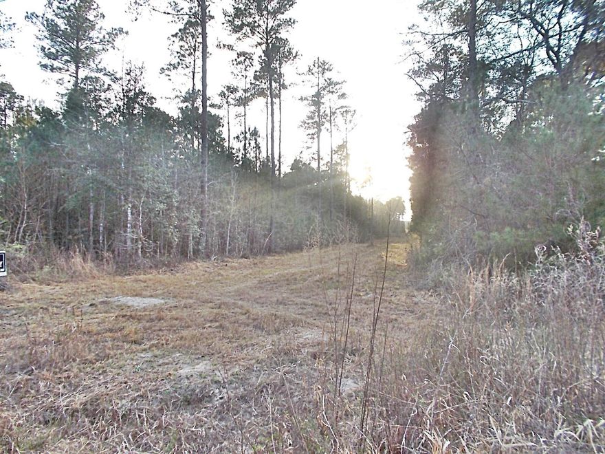 Very nice parcel of vacant wooded land for building or recreation, hunting is very good in this area, some large pines and nice oaks on the property, lots of road frontage on Thunder road and on Circle Hill, very quiet and peaceful.