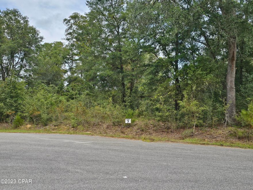 If you are looking for the perfect location in a small subdivision this is it.  Located just off of Hwy 77 South of Chipley.  It is approximately five miles from I-10 and about 30-40 minutes to Panama City.  There are deed restriction which prohibit manufactured and modular homes.  Under ground utilities, paved roaded and multiple lots are available. Photos in the listing are from multiple lots that are available.