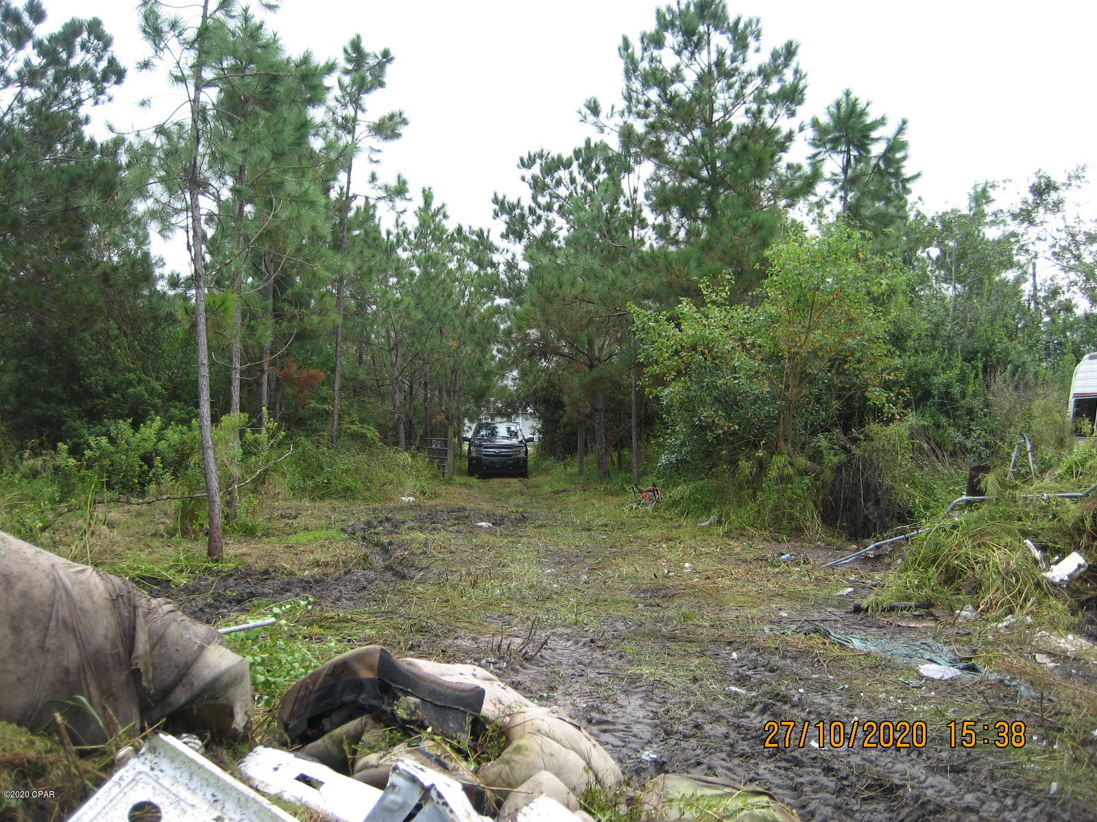 Blueberry Hill - Land