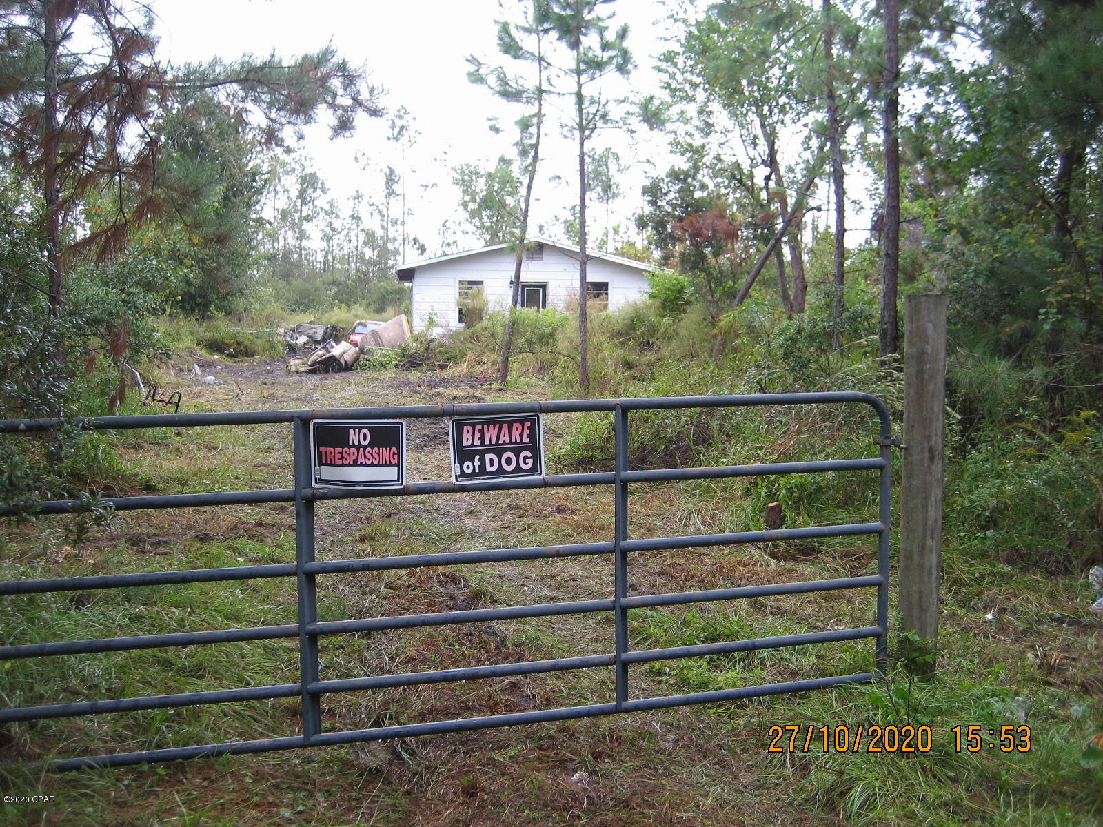 Blueberry Hill - Land