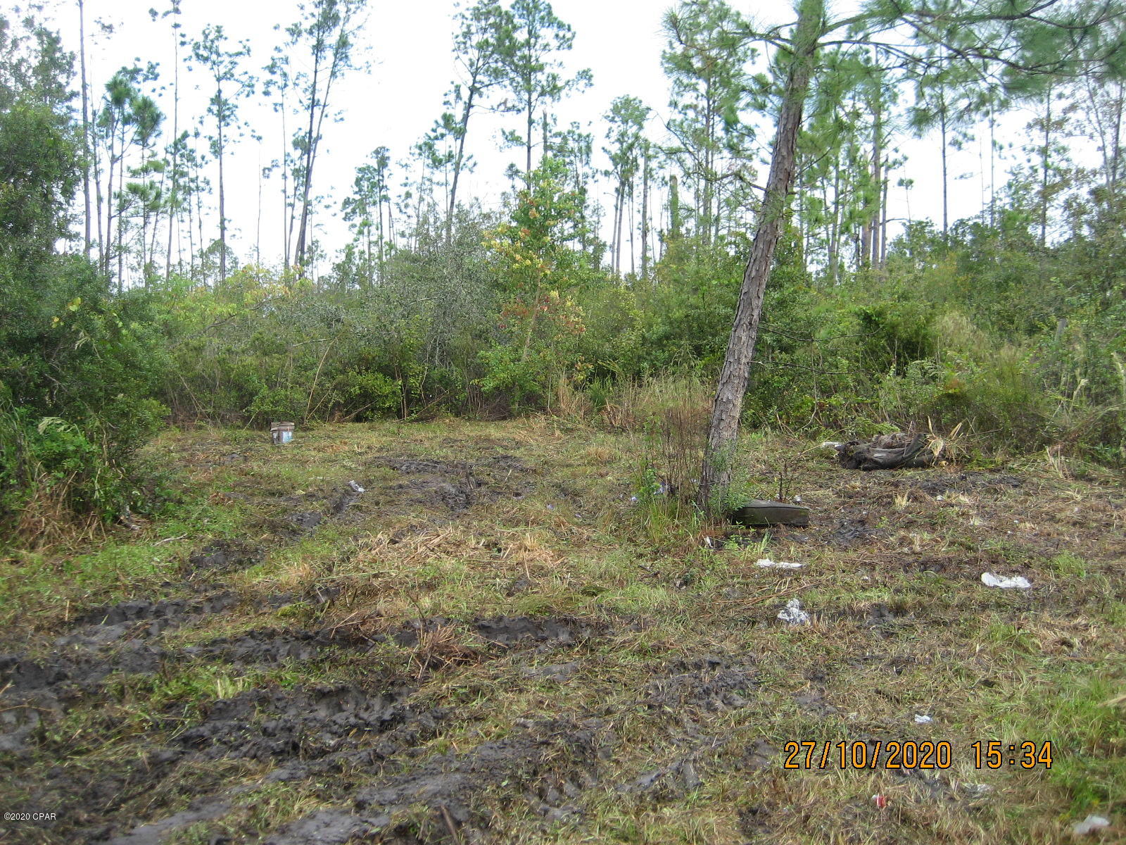 Blueberry Hill - Land