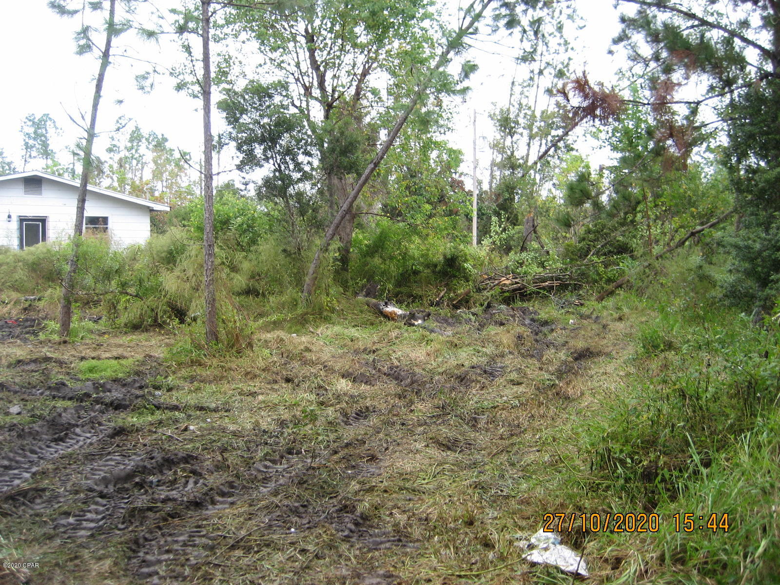 Blueberry Hill - Land