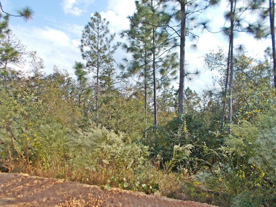 Vacant wooded land in the country just on the Jackson County/ Calhoun County line, this land has some nice larger trees on it and a wet area  on the back of it that would be ideal for hunting or to build a pond on. Drive by and see it.  There owner will do some owner financing on it.