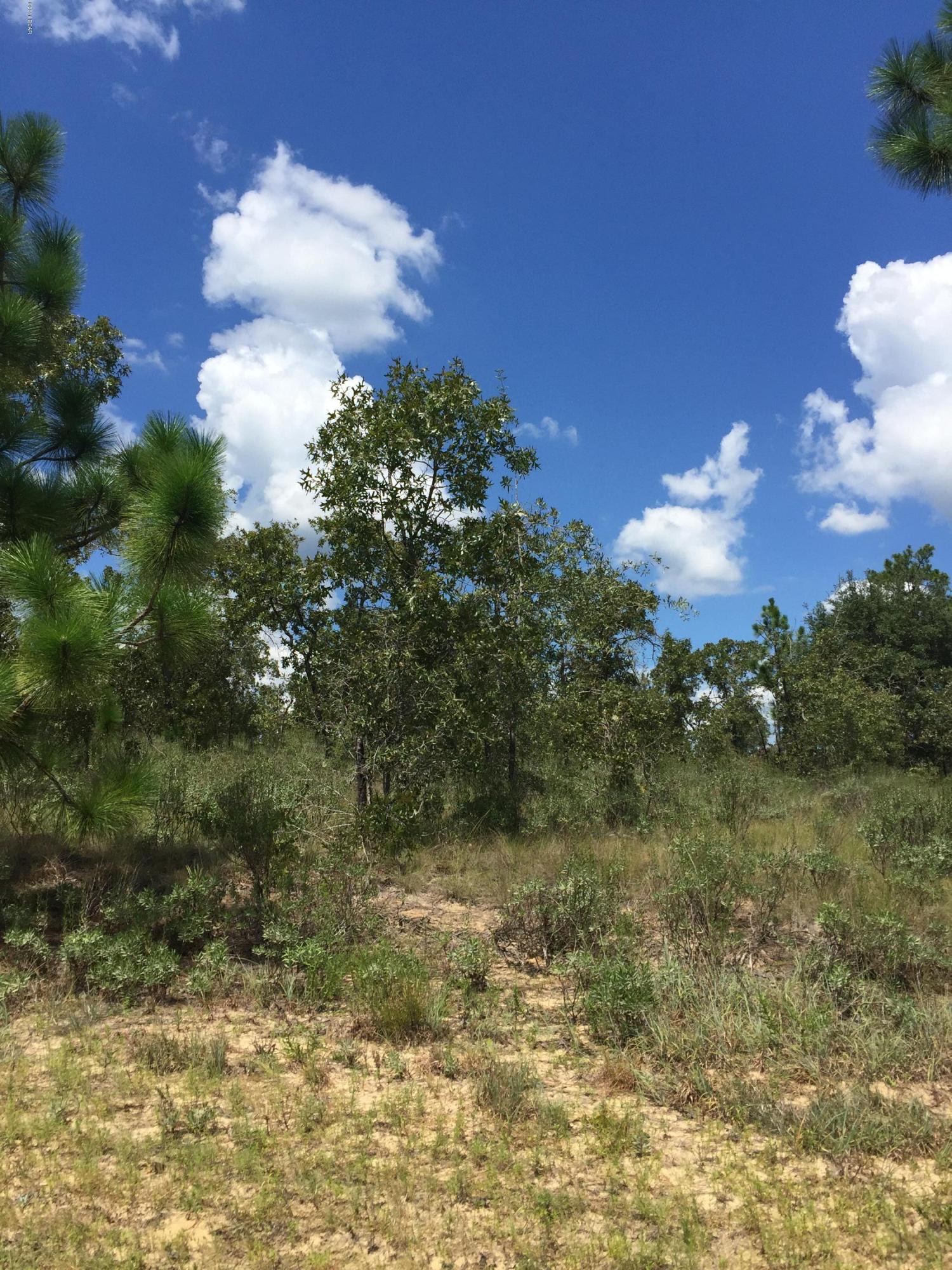 Sunny Hills Unit 1 - Land