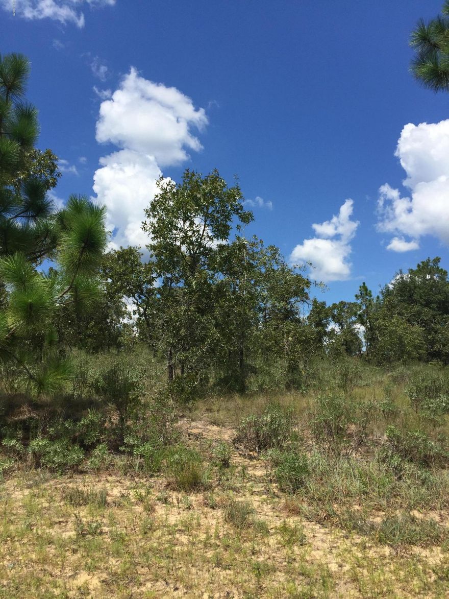 Looking for a beautiful hillside on which to build your new home? Well this is it. This vacant lot is on a quiet street, off the beaten path of Sunny Hills. Located less than 2 miles off of Hwy 77, it's far enough off the main road that you'll have all the privacy you want, yet still be close to areas of commerce, work, and other activity. Approx. 30 minutes from the NW Florida Beaches International Airport and Panama City, and 45 minutes from the beautiful emerald waters of Panama City Beach. The cities of Wausau and Chipley are each within a 20-30 minute drive. The homes in the area are nice, well built, single family homes. It's a very quiet, family oriented neighborhood. Located near Boat Pond and Gap Lake, this is an ideal location for a nice, quiet, country home. High & dry. Located near Boat Pond and Gap Lake, this is an ideal location for a nice, quiet, country home. Paved road access all the way to the property.