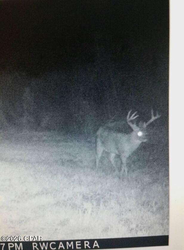 [No Recorded Subdiv] - Land