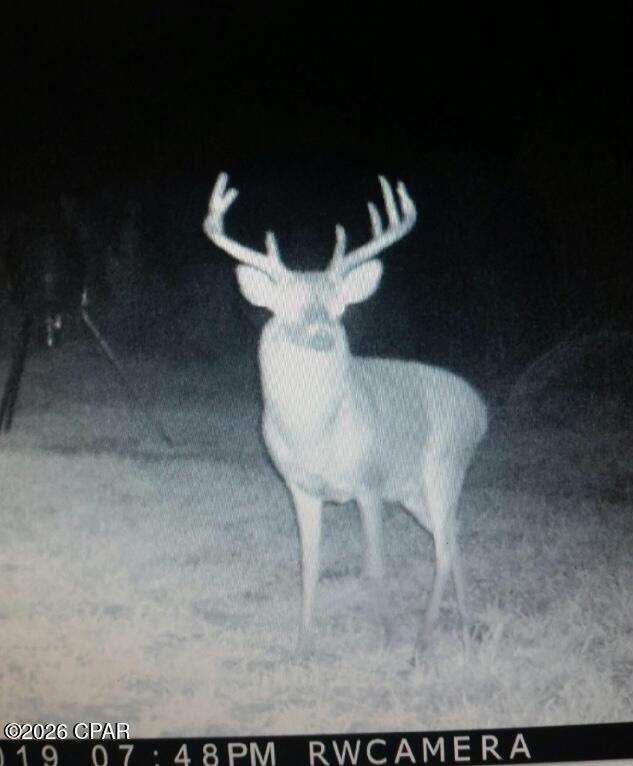 [No Recorded Subdiv] - Land