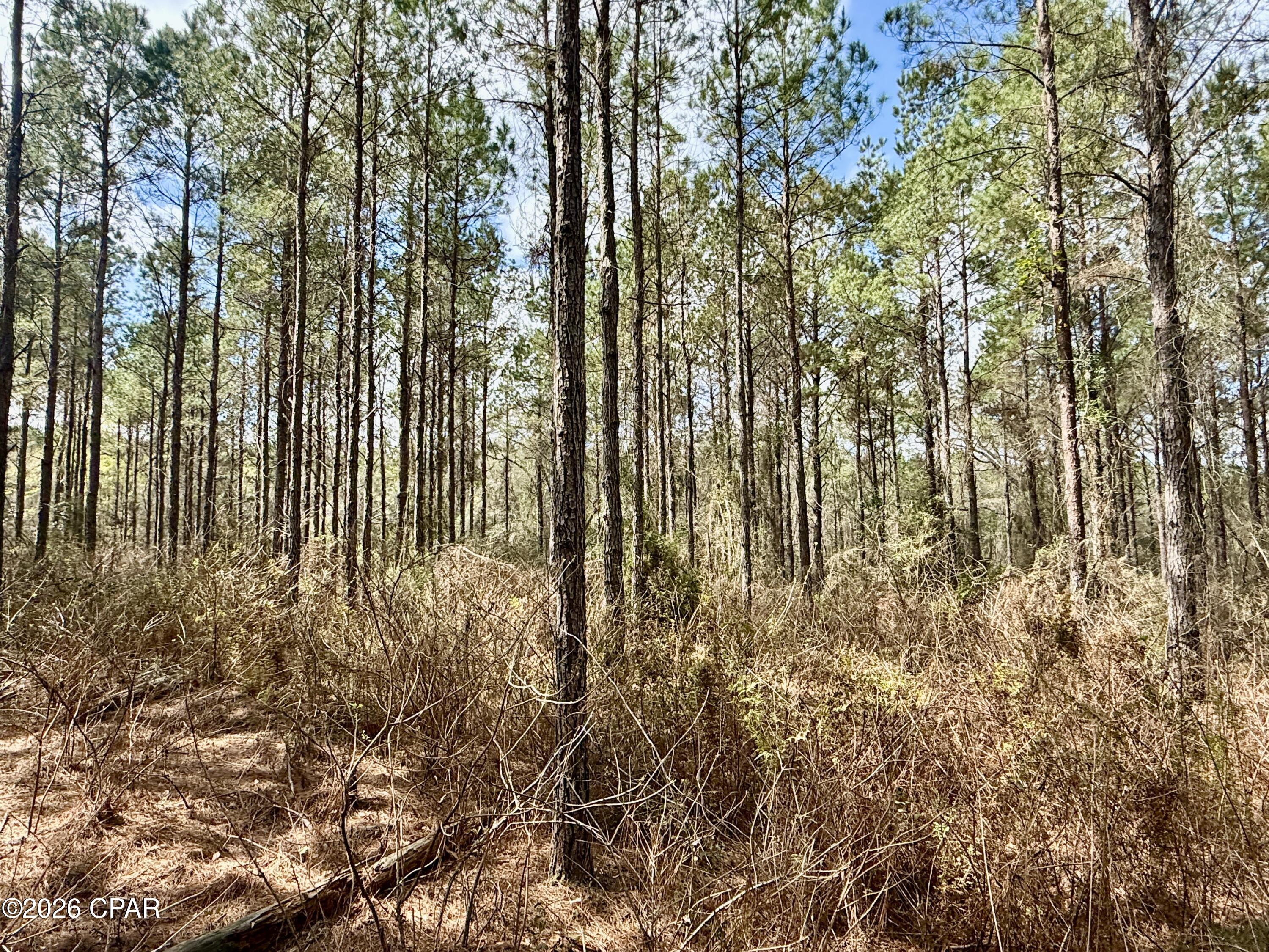 [No Recorded Subdiv] - Land