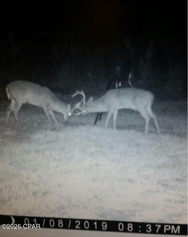 [No Recorded Subdiv] - Land