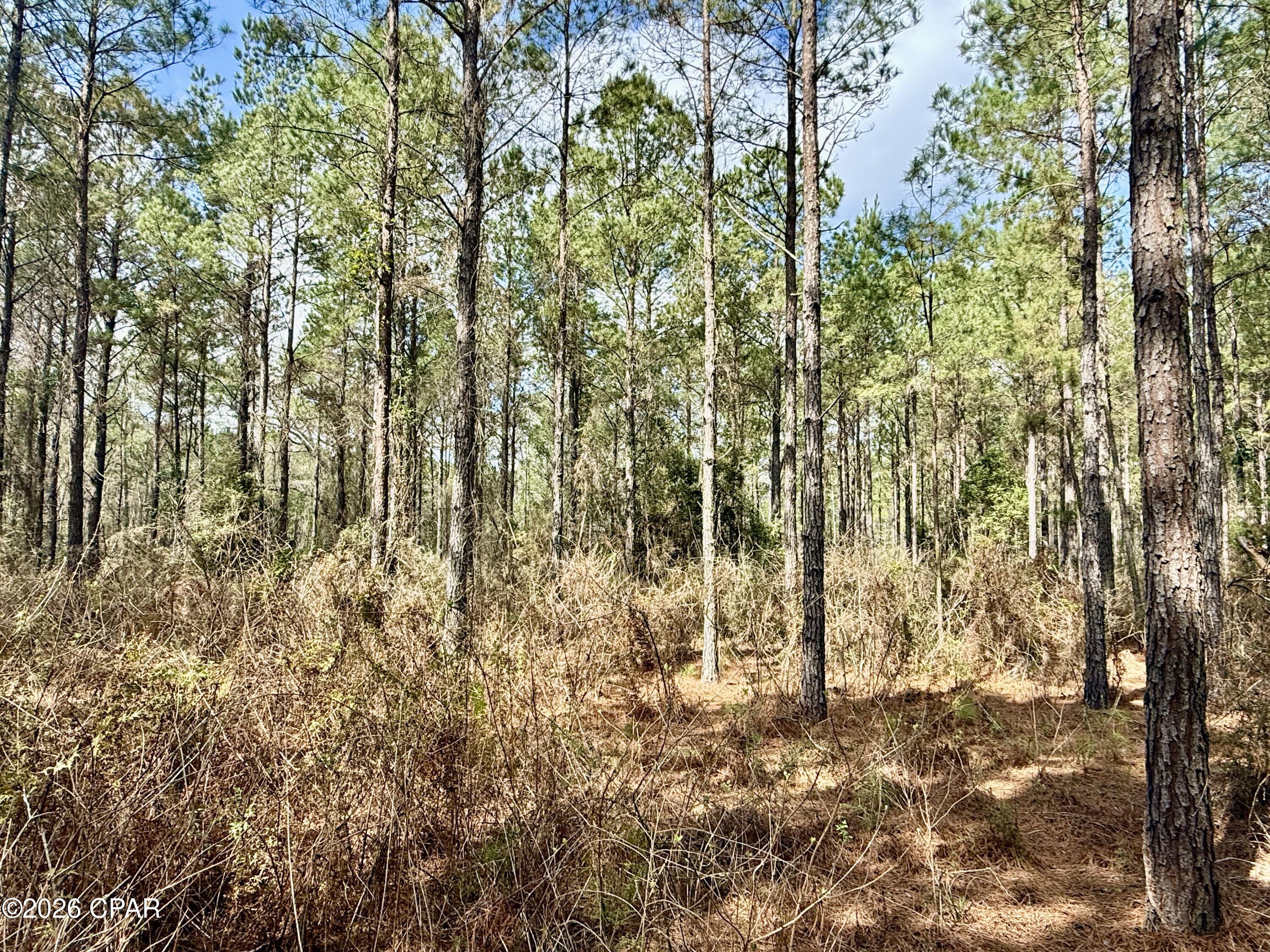 [No Recorded Subdiv] - Land