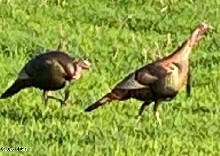 [No Recorded Subdiv] - Land