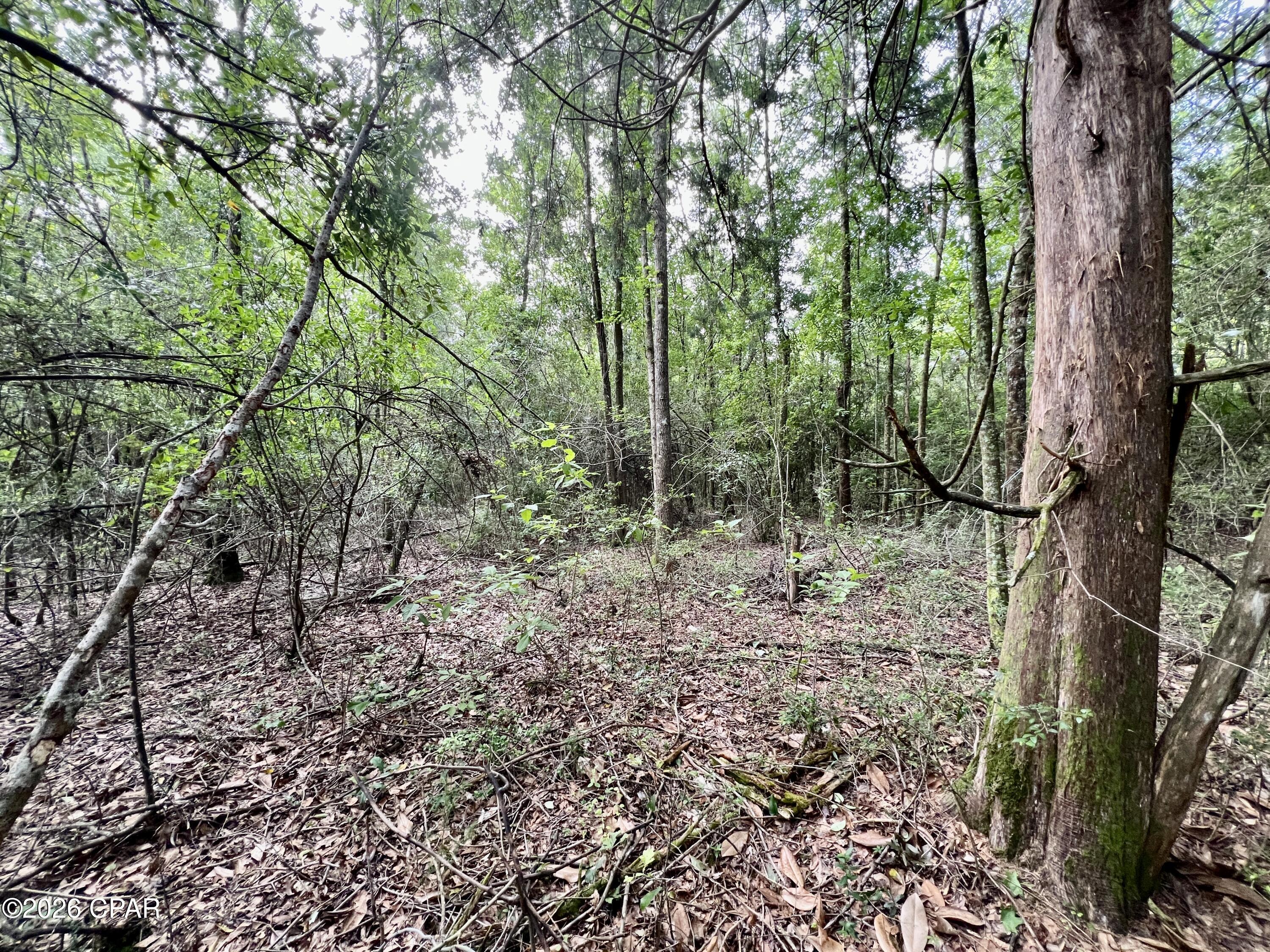 [No Recorded Subdiv] - Land