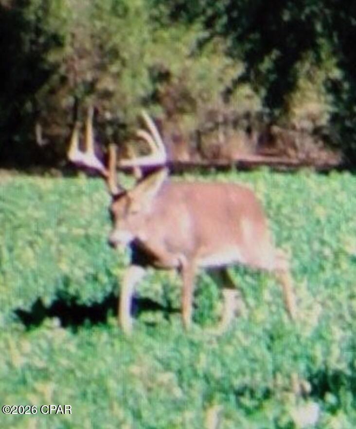 [No Recorded Subdiv] - Land