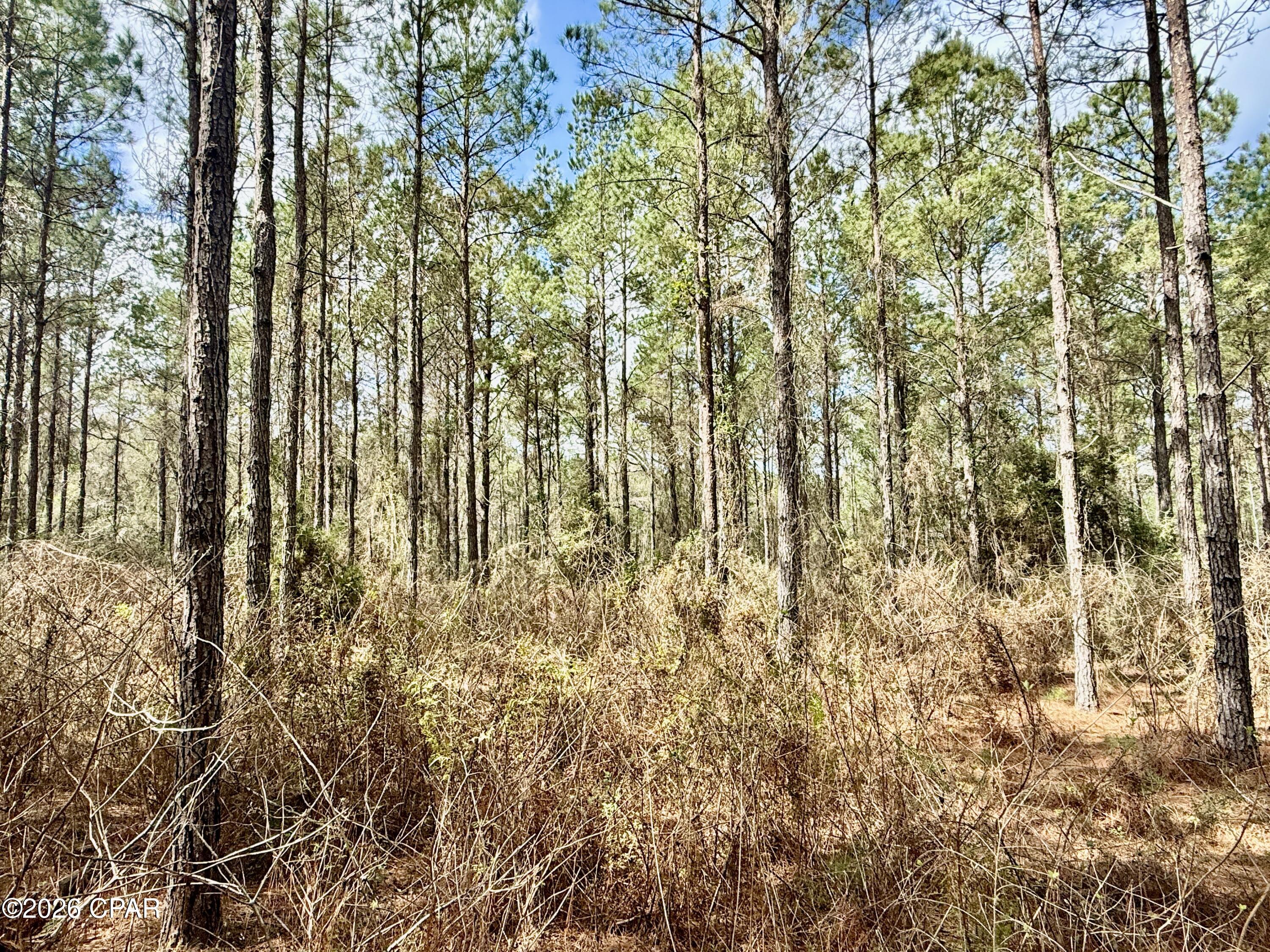 [No Recorded Subdiv] - Land