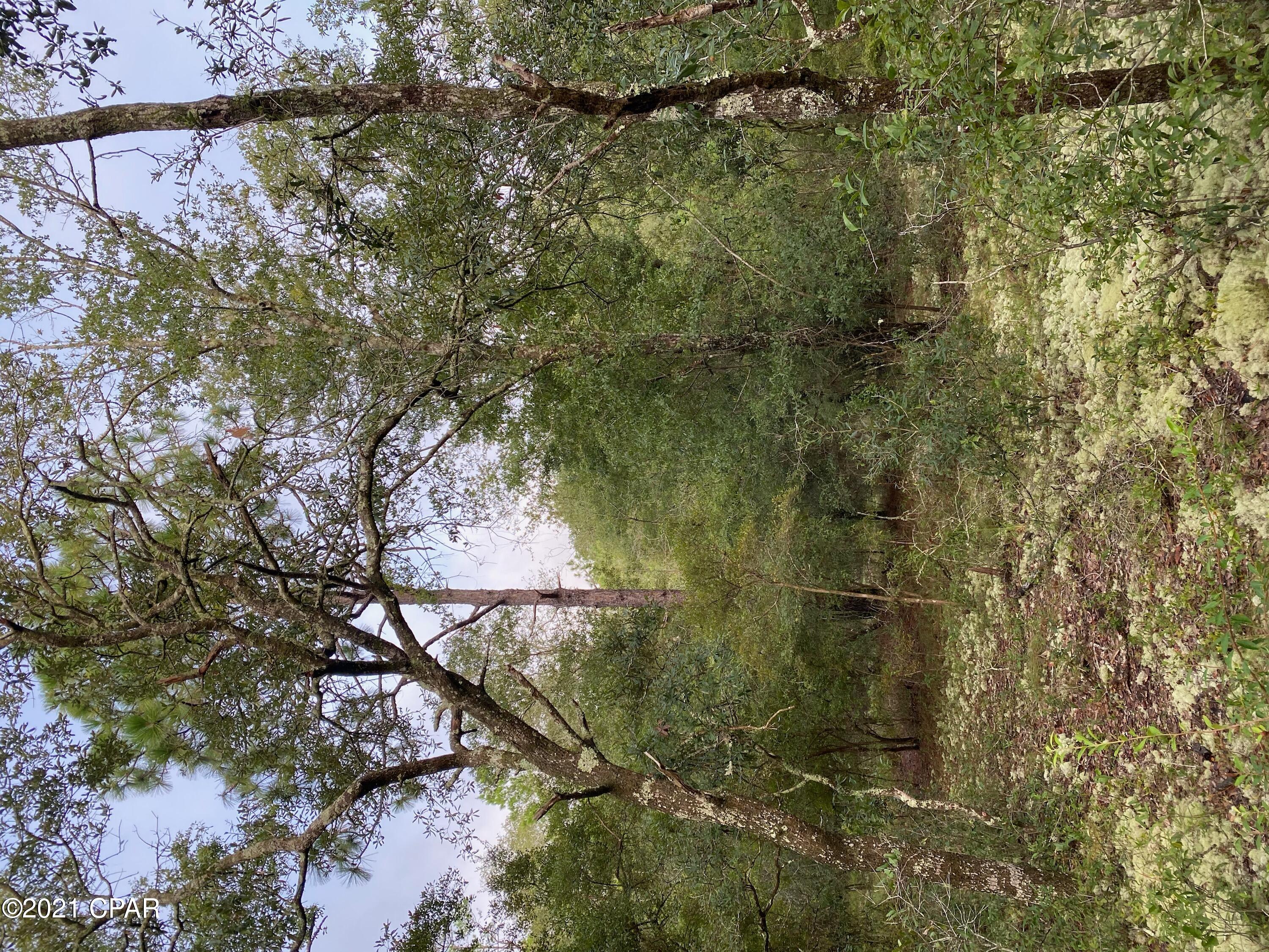 Spanish Lake Estates - Land