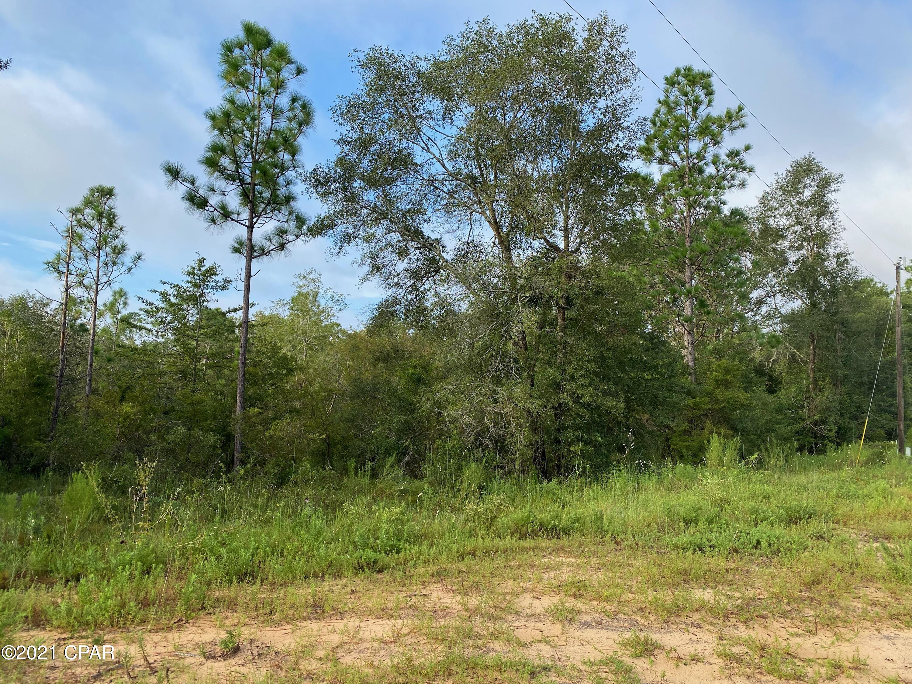 Spanish Lake Estates - Land