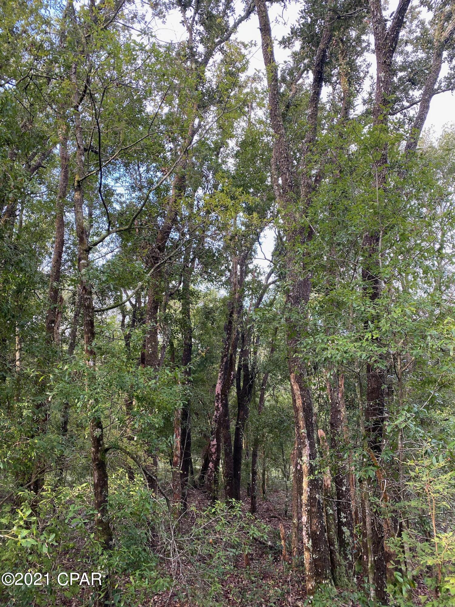 Spanish Lake Estates - Land