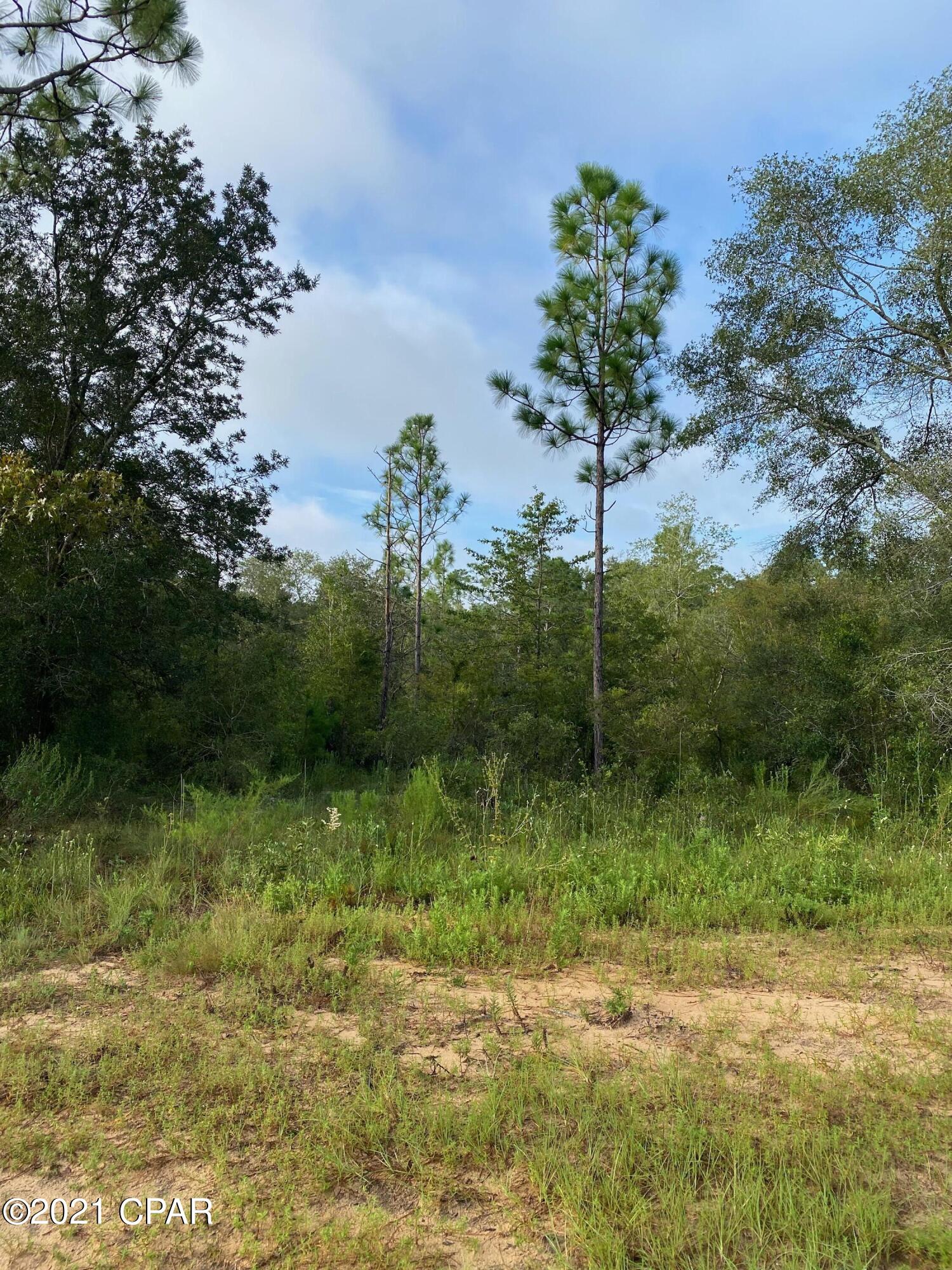 Spanish Lake Estates - Land