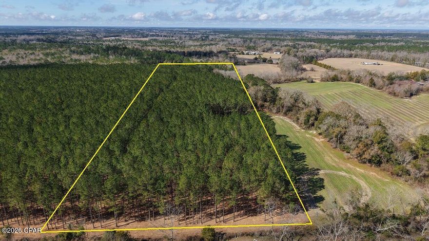Are you looking for some nice rural land in which to build a new home, recreate, or perhaps establish a small business income?  Then look no further than this selectively cleared acreage set within a beautiful stand of mature pine timber. A portion of the land features approximately two acres that have been selectively cleared and lies to the eastern side of the property. Here you will find road frontage, accessible power, and the perfect location to build and greet the morning sun. The remaining eight acres of the tract is filled with mature pine timber whose under carriage could also be cleared to support a consistent straw production business year after year. The wide strategically planted straight rows are perfect to maximize the harvest of a pine straw cash crop, of which the mature pine timber should certainly produce. And for those looking to hunt and recreate, the tract holds an abundance of wild game given its thick wooded cover that also contains a small intermittent watering hole; and as a bonus, large agricultural fields are located nearby. Give us a call today, as this prime rural land shouldn't last long.