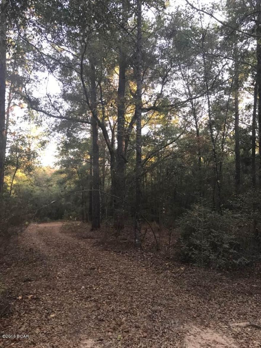 Nice wooded acreage located between Bonifay and Vernon near Pate Pond.  Owner financing available.  Terms:  $3,000 down, 7% for 2 years.