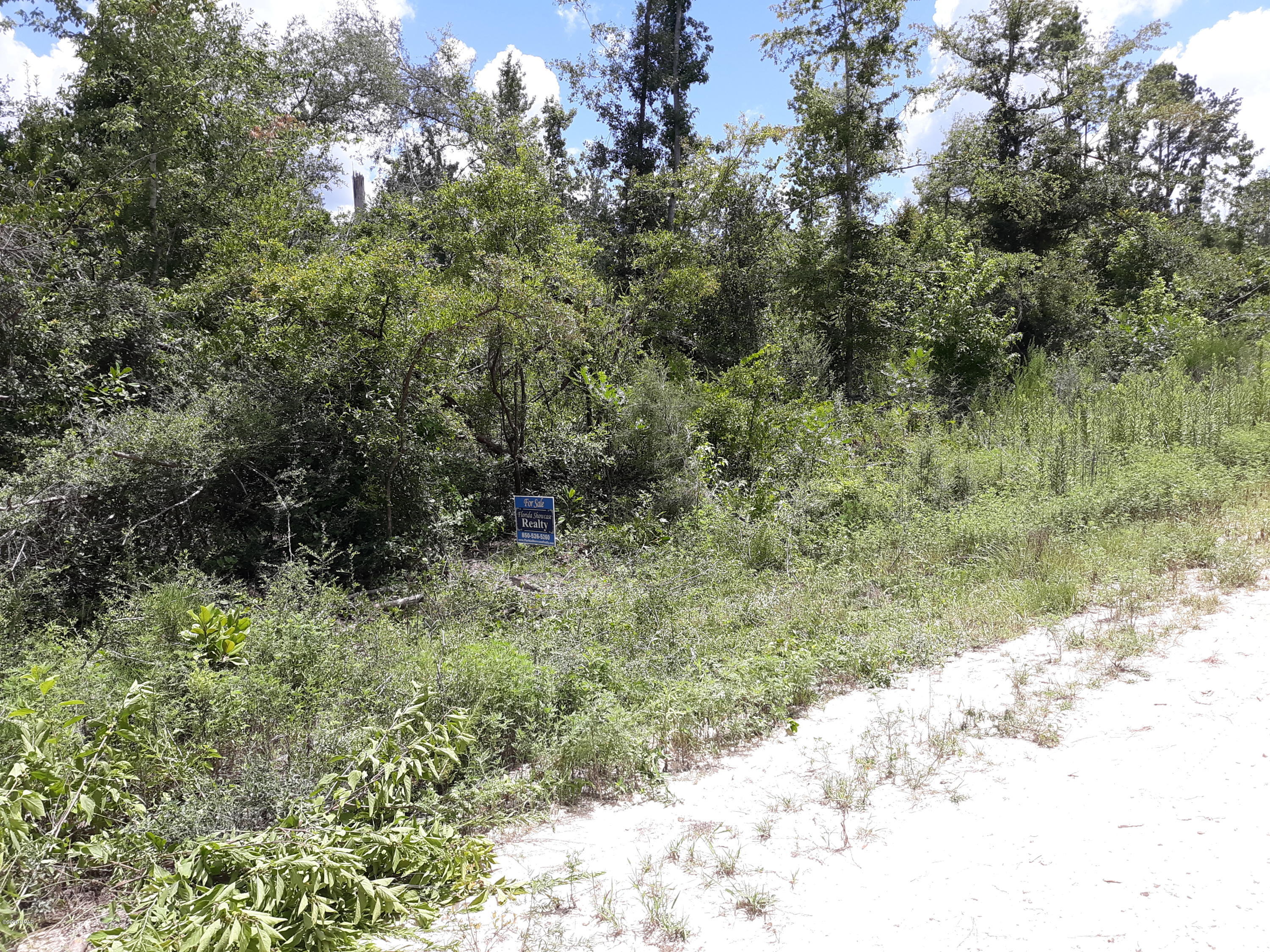 Compass Lake In The Hills - Land