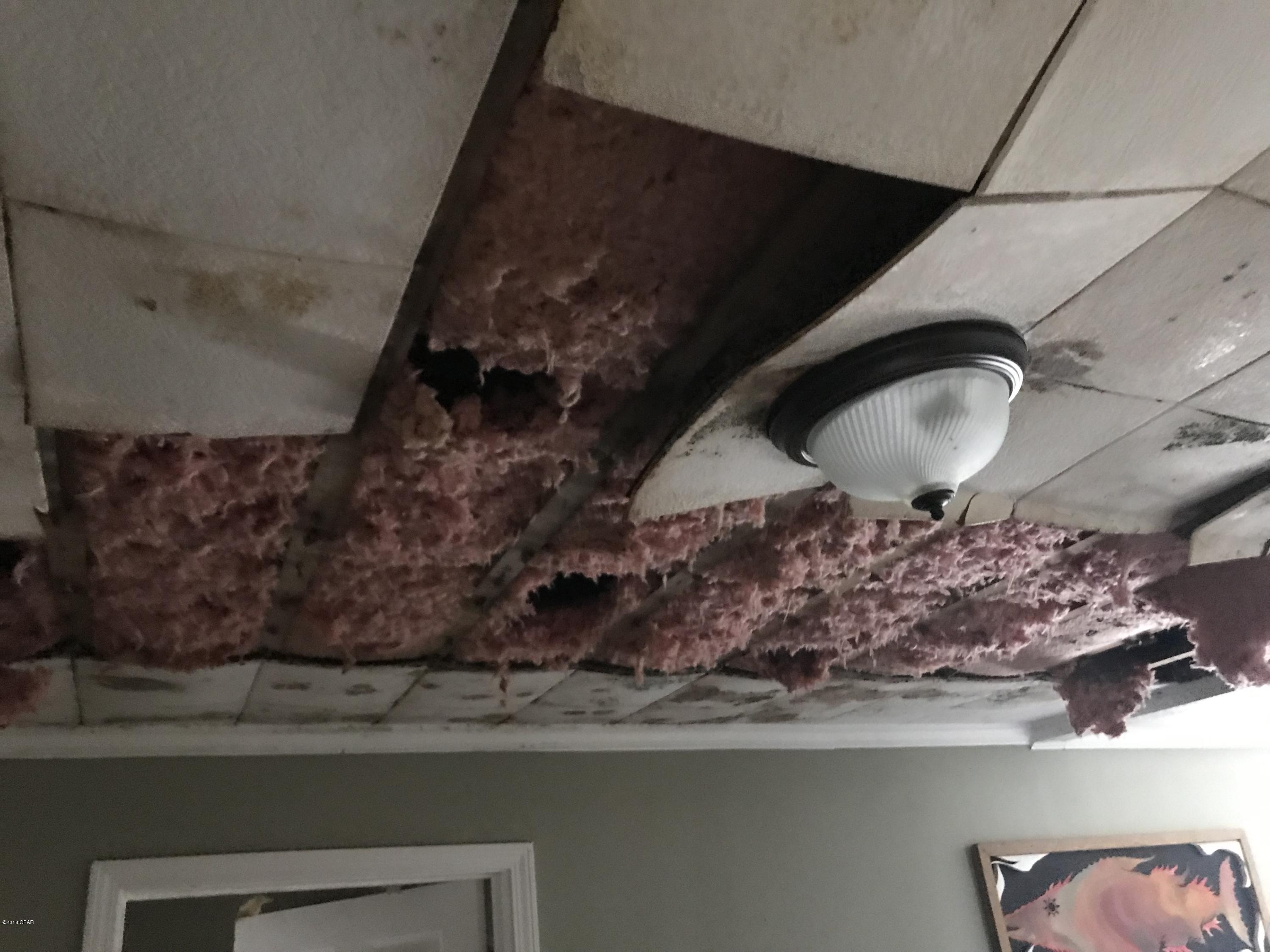 Amy's Acres - Residential