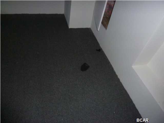 Palmetto Ridge - Residential