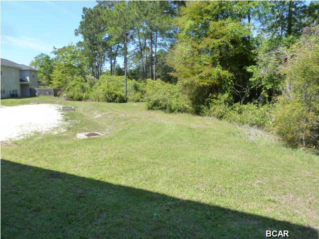 Palmetto Ridge - Residential