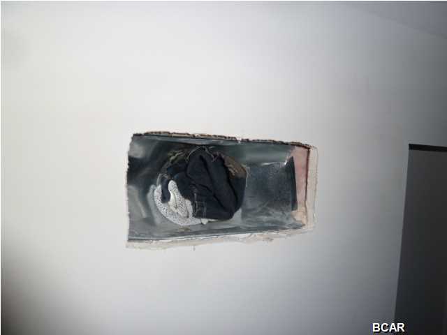 Palmetto Ridge - Residential