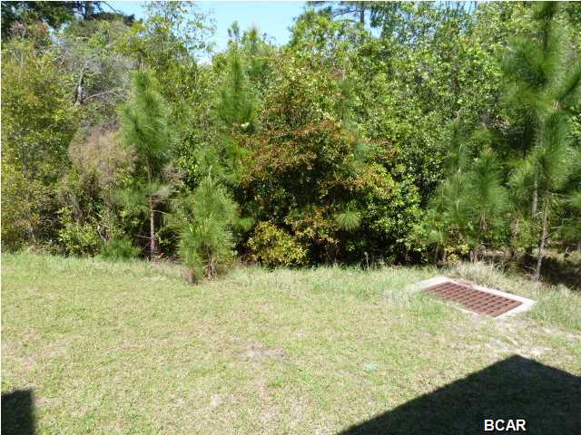 Palmetto Ridge - Residential