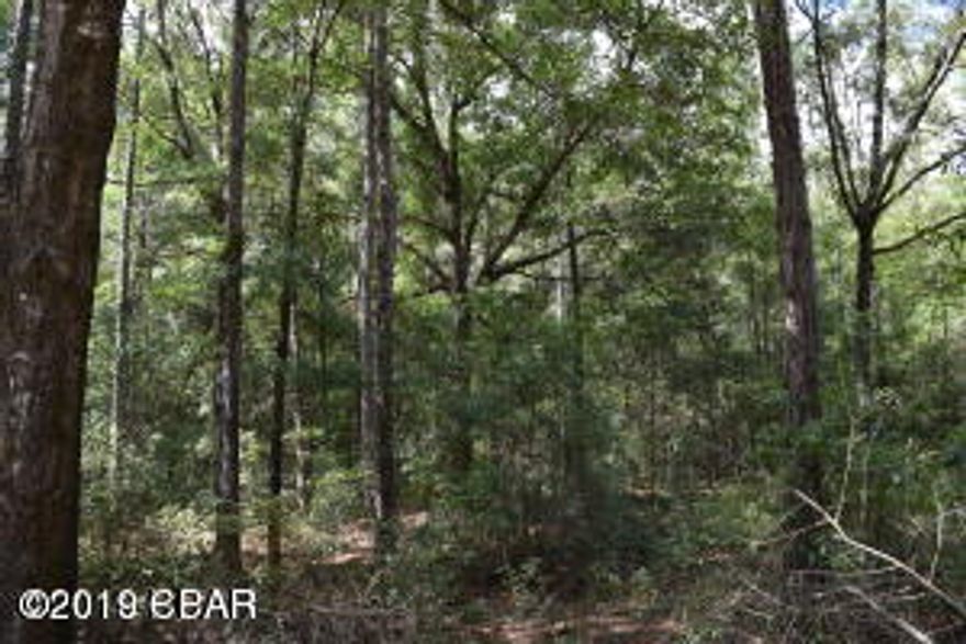 Beautiful building site for your new home or Mini ranch!