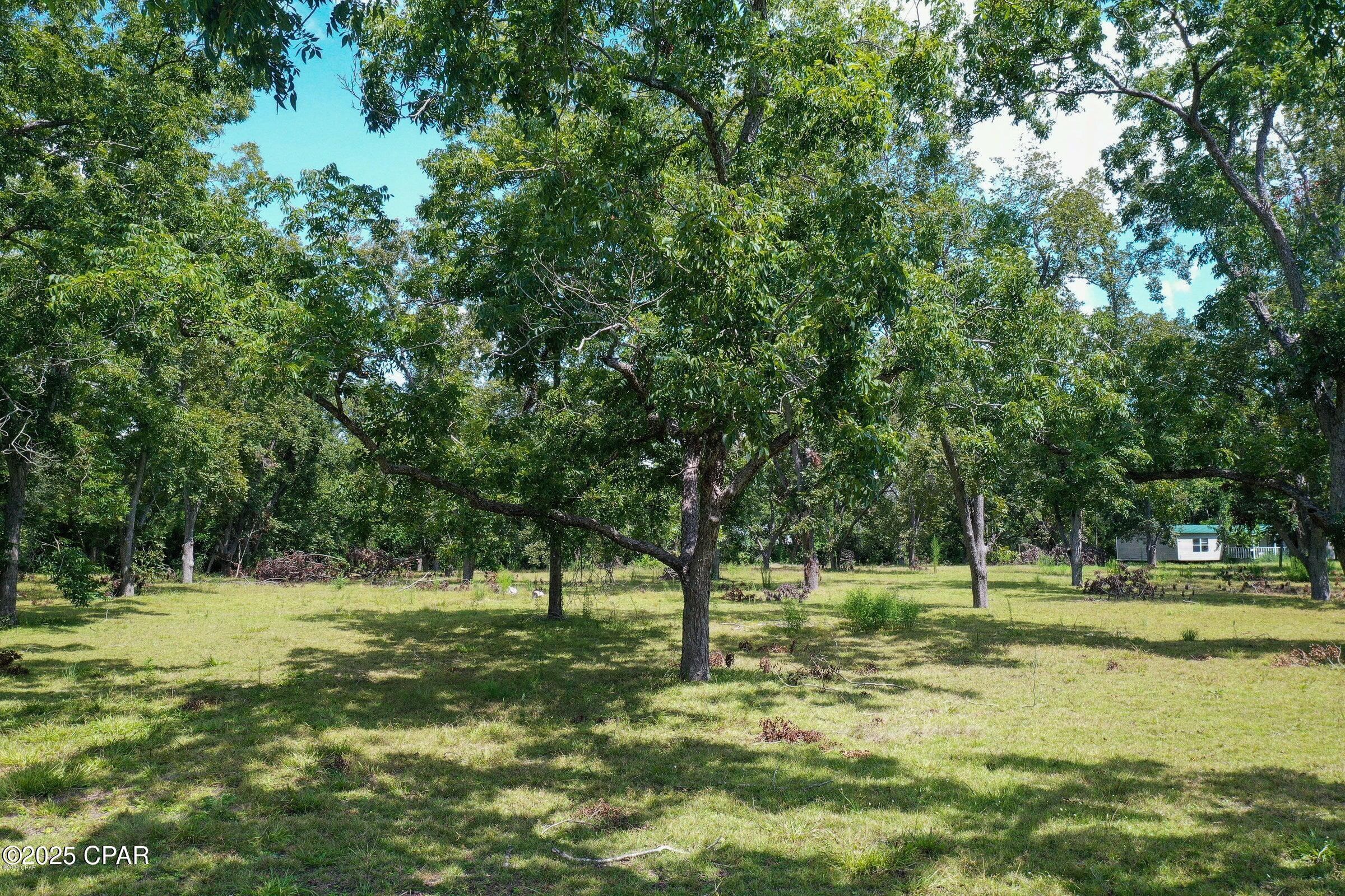 No Named Subdivision - Land