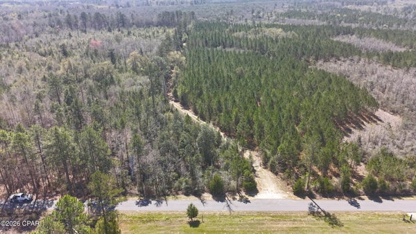 TRACT#6416 BROCK ROAD, CARYVILLE, FL 32427 - Image d8f48fbcbed9eea3dc47e92367dcfc3e/3202484851