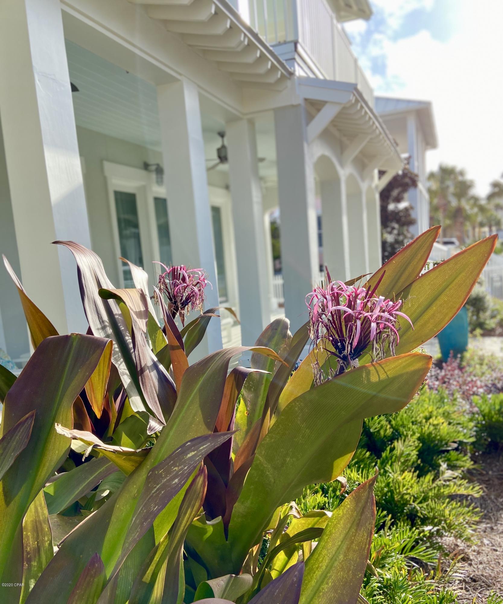Carillon Beach - Residential