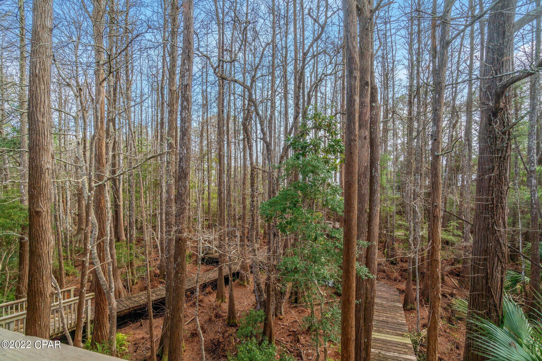 Cassine Garden - Residential