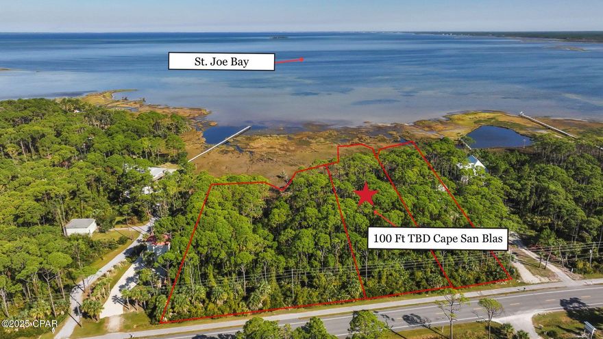 Experience the unspoiled beauty and unmatched potential of this remarkable home site on Cape San Blas. Currently subject to replat into 100' wide parcel with direct frontage on the pristine waters of St. Joe Bay, this rare offering is a true coastal treasure. Surrounded by towering pines, native vegetation, and an untouched shoreline, the property offers a peaceful, private setting where panoramic bay views and gentle breezes create the perfect backdrop for your coastal dream. This parcel delivers both natural beauty and exceptional versatility. A wetland delineation report is already available—streamlining your path to planning and permitting, and providing valuable insight for builders and investors alike. With direct access to the calm, clear waters of St. Joe Bay, outdoor enthusiasts will appreciate endless opportunities for kayaking, paddleboarding, fishing, and sunset watching. The property also fronts the 10-mile Loggerhead Trail, a popular bike and pedestrian path connecting you to beach access points, conservation areas, and the laid-back amenities of Cape San Blas. Just a short drive brings you to the charming coastal town of Port St. Joe, known for its full-service marina, waterfront dining, boutique shopping, and welcoming small-town atmosphere. For those seeking an even grander vision, this parcel can be purchased with two adjacent 150' (#780398) and 75'  (#780399) bayfront lots and the adjoining Gulf-front property at 1048 Cape San Blas Rd, creating a truly unparalleled opportunity to own from bay to beach along Florida's stunning Forgotten Coast. Whether you're planning a legacy development or your dream coastal retreat, this property offers limitless possibilities. Call now for your private tour and LIVE THE BEACH LIFE!