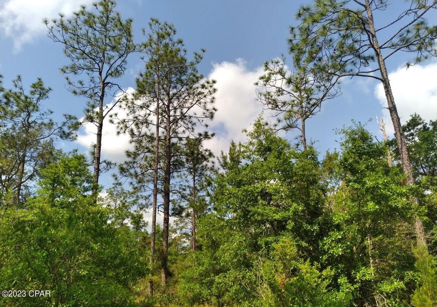 Large 3.84 acre lot in the country! Enjoy the equestrian and lake community lifestyle in the private gated community of Leisure Lakes. Build your dream home (manufactured homes allowed, too) on this partially cleared, recently surveyed high and dry lot located just less than a quarter mile from the amenities and boat ramp. Leisure Lakes property owners enjoy a community pool, pavilion, equestrian trails, 2 lakes with boat ramps for fishing or swimming in the crystal clear waters! Schedule your viewing now; not many large lots like this are available in Leisure Lakes.