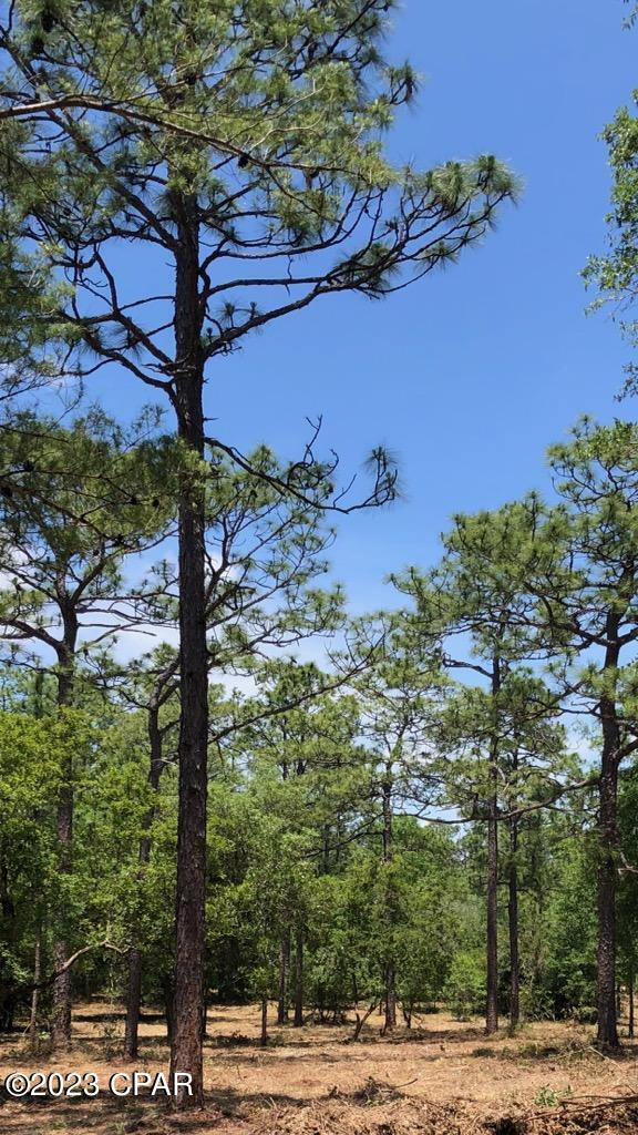 Leisure Lakes - Land