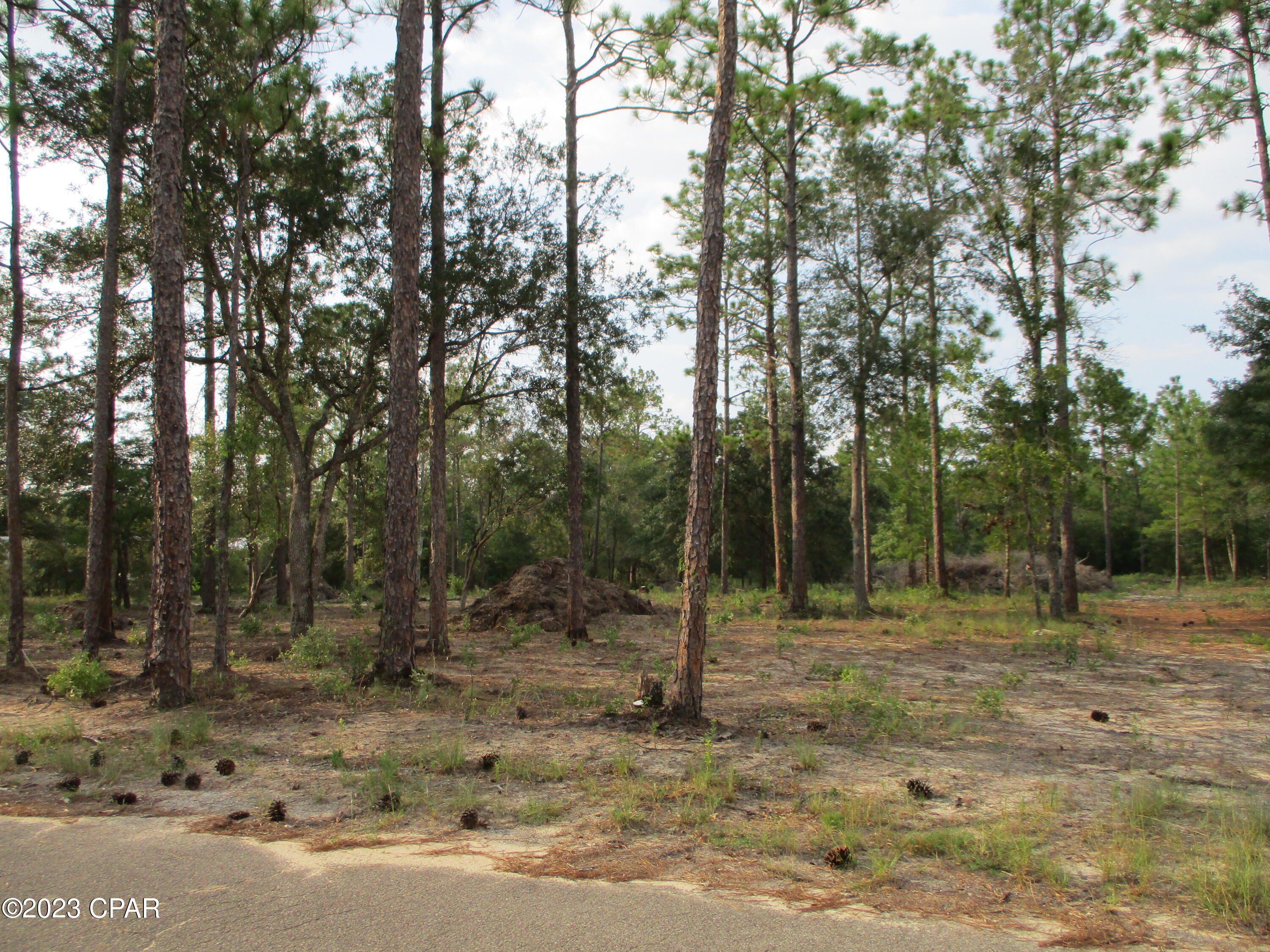 Leisure Lakes - Land