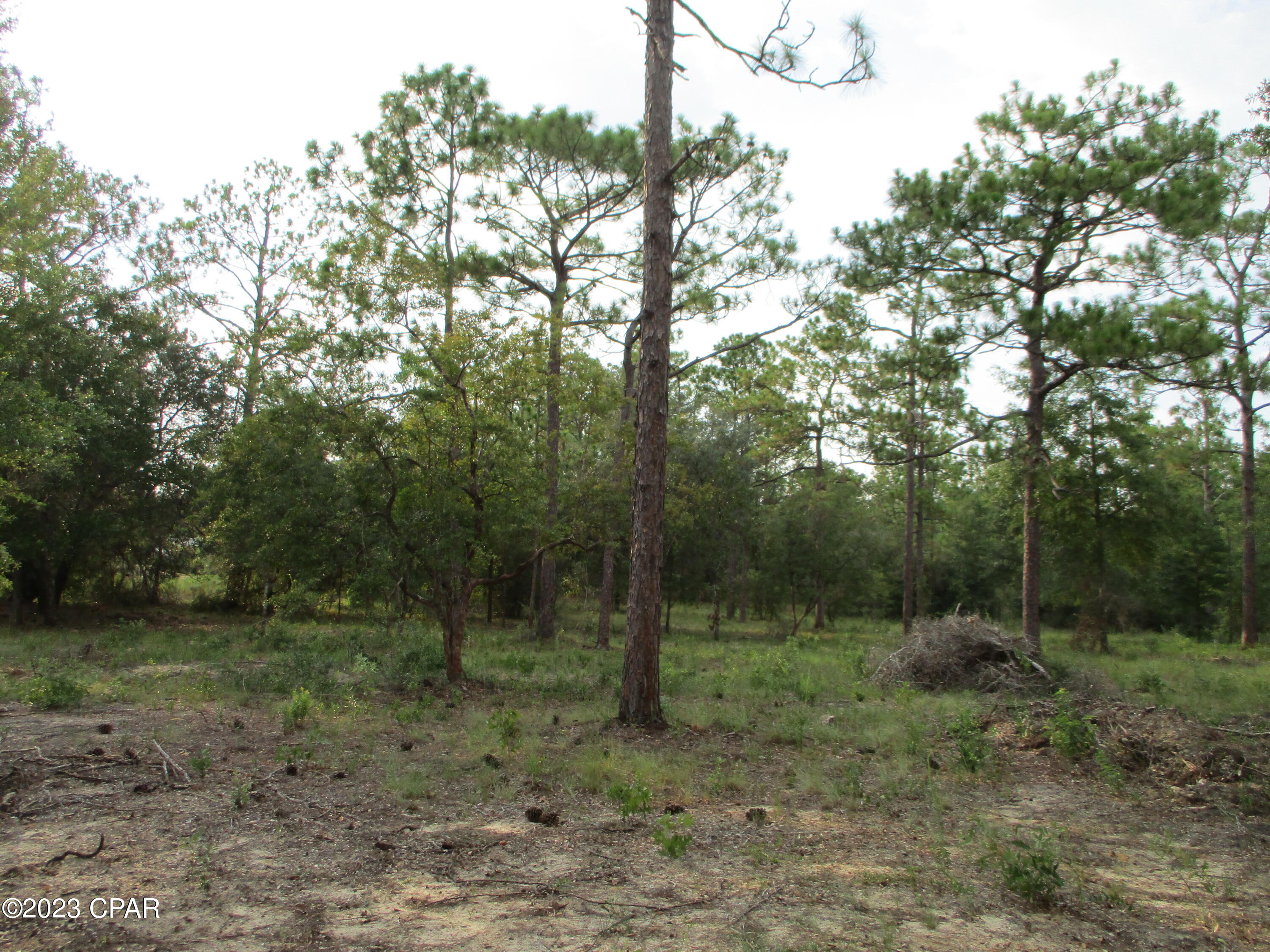 Leisure Lakes - Land