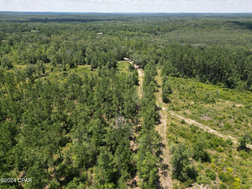 This high and dry 60-acre parcel is located in the serene town of Ponce de Leon, FL.  With a combination of majestic pines and oaks, the property offers both privacy and seclusion, while also allowing quick access to Hwy 90 and Interstate 10.  The rolling hills and stunning elevation make it an ideal homesite with panoramic views of the surrounding area.
If you are ready to invest in a piece of property where you can hike, hunt, or ride your ATV, then this is your chance to make it happen.  Abundant wildlife including deer, turkeys, and other small game throughout.  There are multiple spots for deer stands and food plots.  And, for those who love fishing and kayaking, Ponce de Leon Park and Vortex Springs are right around the corner.
Discover Florida's natural beauty right at your doorstep! With its expansive size, diverse landscape, and prime location near recreational hotspots, this property presents an incredible opportunity at an unbelievable price. Contact us today for a private showing!

Additional Information:
-*Beautiful wooded landscape with mature pines
-*Ideal for hunting white tail deer, turkeys, and small game
-*Multiple homesite locations
-*Close proximity to Interstate 10 and Hwy 90 - offering easy access to nearby amenities
*3-minute drive to Ponce de Leon Springs State Park
*10-minute drive to Vortex Springs