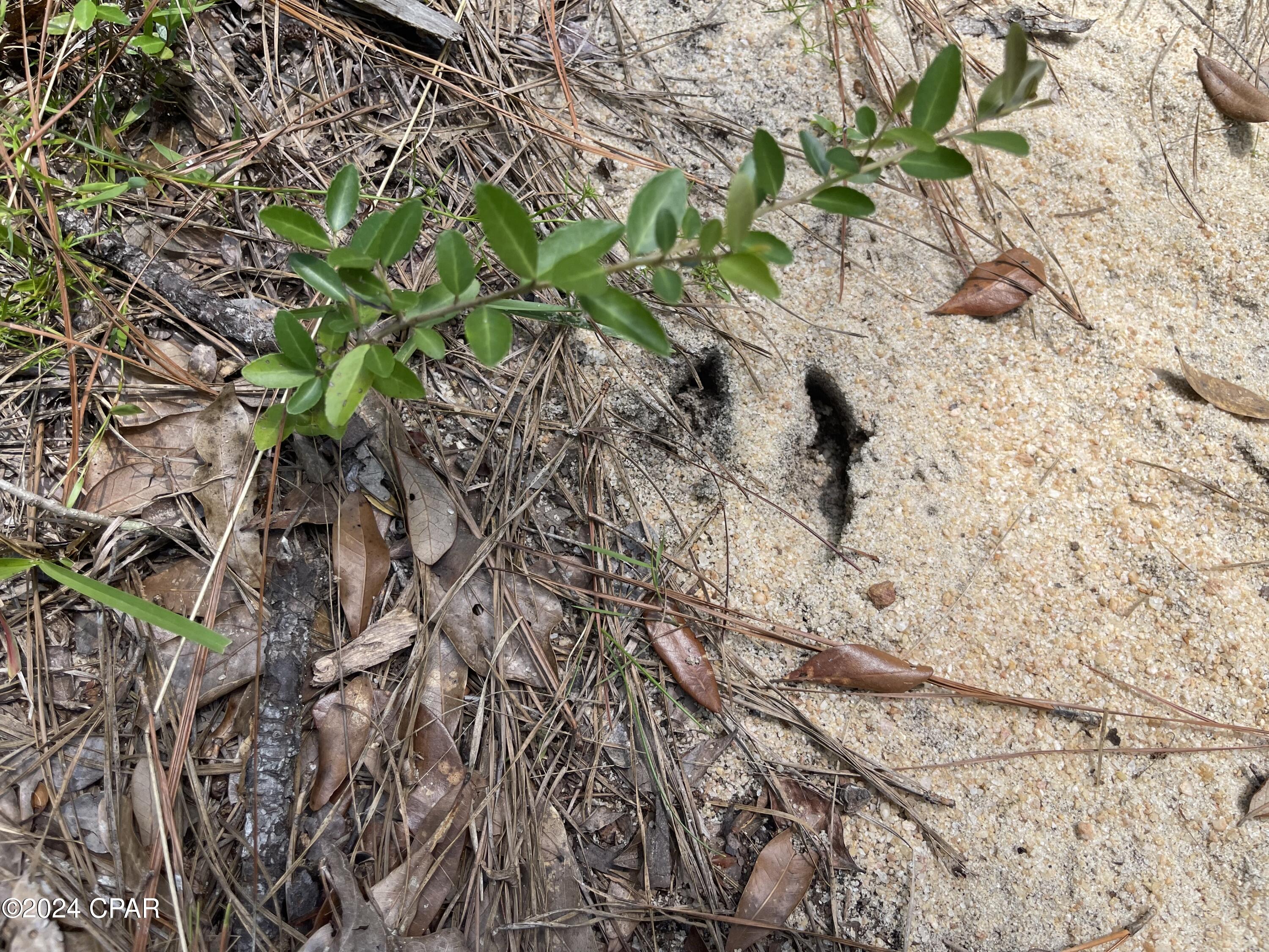 No Named Subdivision - Land