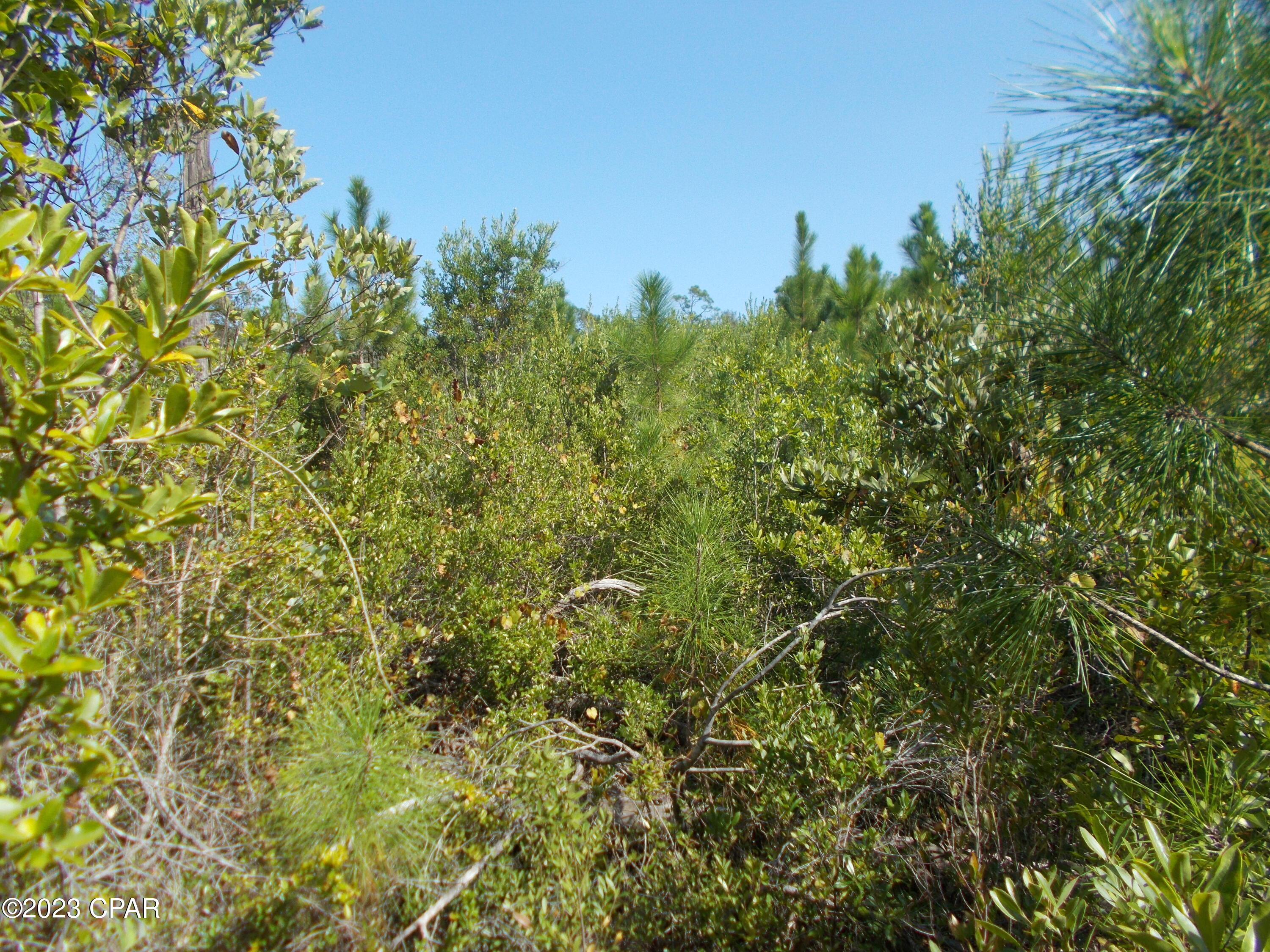 Compass Lake Hills Unit 4 - Land