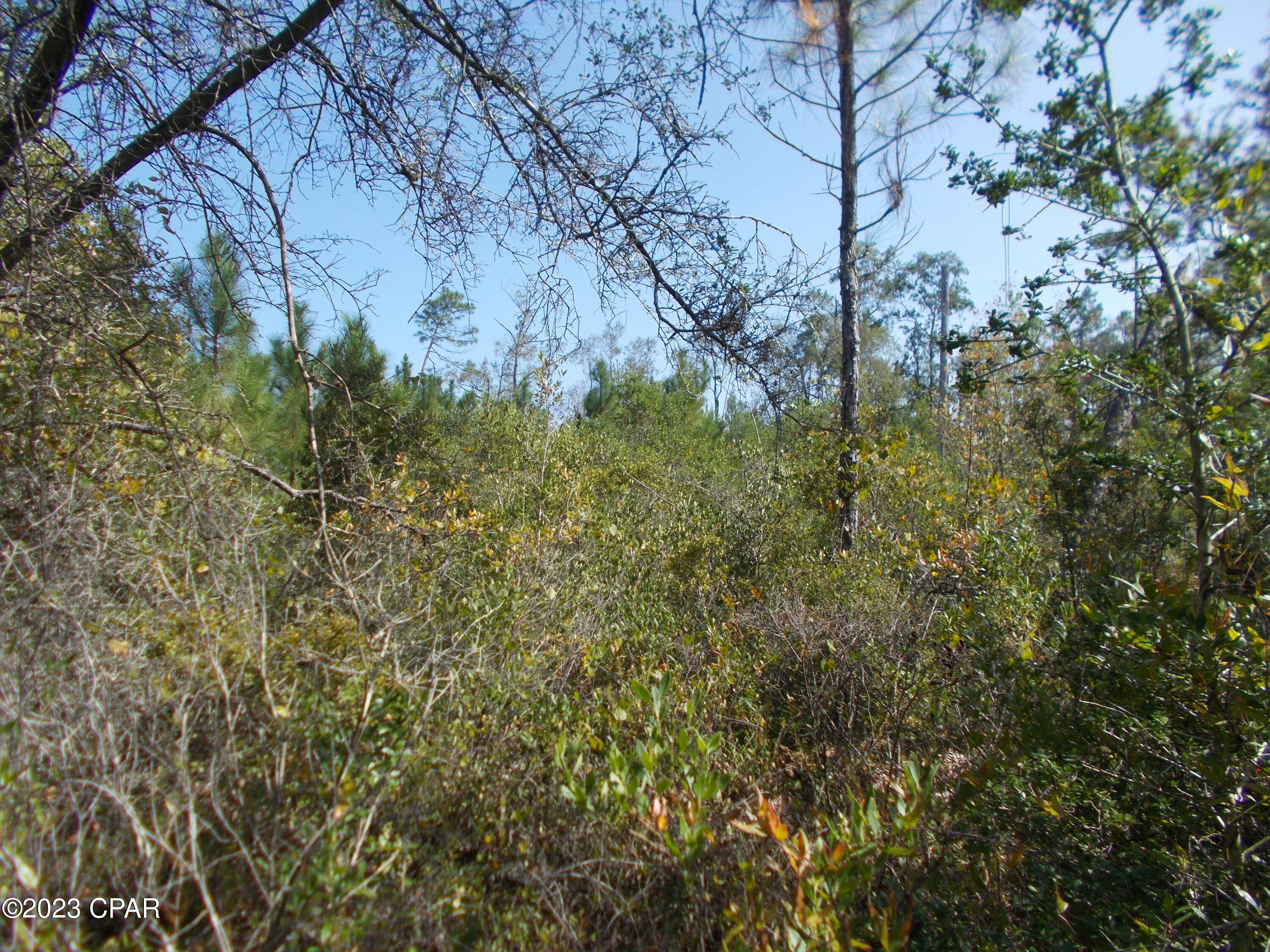 Compass Lake Hills Unit 4 - Land