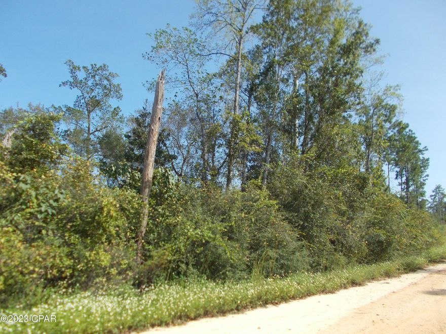 Over 2 ac in Compass Lake on this parcel, very nice lot some small trees that would be easy to clear for a home, some large, scattered trees, come build your dream home here There is a 135. voluntary fee to be part of the Compass Lake amenities.